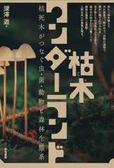 中古 枯木ワンダーランド 枯死木がつなぐ虫・菌・動物と森林生態系/築地書館/深澤遊（単行本） 即納