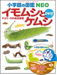 小学館の図鑑NEO イモムシとケムシ DVDつき（大型本）｜在庫あり