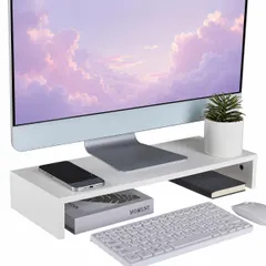 【送料無料】VECELO モニター台 卓上 幅50X奥行19.7X高さ7.8CM 組立簡単 ディスプレイスタンド 卓上収納 文具収納