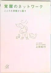 覚醒のネットワ-ク こころを深層から癒す/講談社/上田紀行（文庫） 送料無料