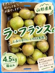 【期間限定】山形県天童市産 ラ・フランス 4.5kg箱込み🍐