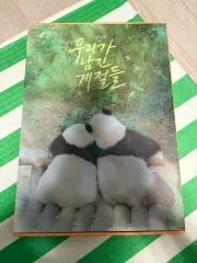 中古 26年 グリーティング バオFAMILY 写真集 出品 即納