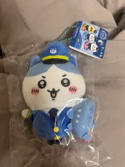 パイロットハチワレ アウトレット