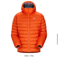 中古 L ARC'TERYX Cerium SV フェノム 即納