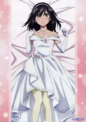 중고 クリアポスター どきどきA3クリアポスター 姫柊雪菜 ウェディングVer. 「 쿠지 도도 스트라이크 더 브래드 사랑스러운 고양이 온라인 쿠지 B-7 상