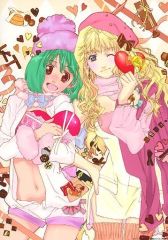 중고 キャラカード シェリル・ノーム&ランカ・リー バレンタイン アートカード 「マクロスF」 おしゃれマクロス限定