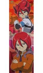 중고 ポスター アニメ 基山ヒロト 「イナズマイレブン キャラポスコレクション2」