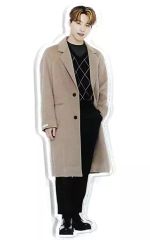 중고 マグネット・磁石 ディノ ビッグアクリルマグネット 「SEVENTEEN WINTER KUJI」 B賞 ローソン・HMV限定