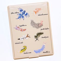 ミノウミウシ類 ウミウシコンパクトミラー ベージュ