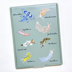 ミノウミウシ類 ウミウシコンパクトミラー くすみグリーン