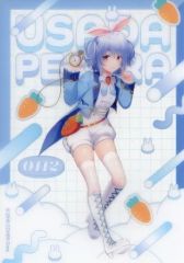 중고 キャラカード 兎田ぺこら ノーマル 不思議の 우사기 全身 「バーチャルYouTuber ホロライブ トレーディングクリアブロマイドブロマイド 兎田ぺこら」