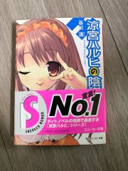 涼宮ハルヒの陰謀 日本版