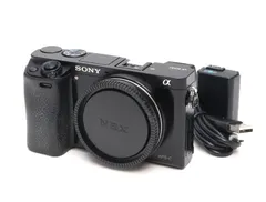 B (並品) SONY ソニー α6000 ILCE-6000 ボディ 初期不良返品対応 110-134