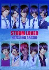 중고 クリアファイル 集合 A4クリアファイル ｢DVD STORM LOVER 夏恋嵐」特典