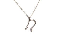 Tiffany&Co. ティファニー ネックレス レター N シルバー系 SV925 レディース 美品