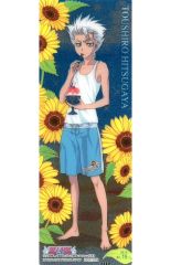 중고 食玩 トレーディングカード No.15 日番谷冬獅郎 「BLEACH -ブリーチ- THE CARD GUM ～斬魄刀の反乱～」