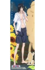 중고 食玩 トレーディングカード No.13 朽木白哉 「BLEACH -ブリーチ- THE CARD GUM ～斬魄刀の反乱～」