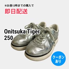 Onitsuka Tiger オニツカタイガー スニーカー 250 シルバー レザー・本革 合成皮革/人工皮革 スエード ラバー/EVA ブランドロゴ ワンポイント 紐 ローカット メンズ レディース