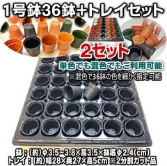 ミニプラ鉢専門店＊1号プラ鉢-赤茶 レンガ柄 黒 茶 緑 白＊36鉢＋トレイ厚 ハード：2分割品 付×2セット＊多肉植物・塊根植物コーデックス・アガベ・サボテン・盆栽・観葉・ハオルチア・アデニウム・パキポディウム・実生＊一寸鉢@フラワーショップ江口