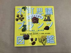 おどろきの植物不可思議プランツ図鑑 木谷美咲
