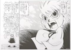 중고 原画イラストボード 金色のガッシュ!!と雷句誠原画展 複製原稿 ガッシュ