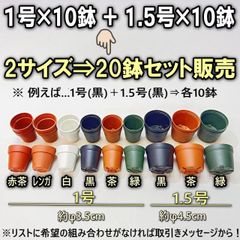 新 ミニプラ鉢専門店＊色を選べます＊ミニプラ鉢1号×10鉢＋1.5号×10鉢⇒計20鉢セット＊一寸鉢＊多肉植物・塊根植物コーデックス・アガベ・サボテン・盆栽・観葉・ハオルチア・アデニウム・パキポディウム＊グラキリス・実生・さし芽・さし木＠フラワーショップ江口