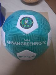 APPLERIND 安山グリナースFC 2024シーズン サッカーボール サインボール、約1箇所に破れあり