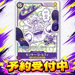 「モンキー・D・ルフィ」 ONE PIECE プレミアムカードコレクション Nikeコラボエディション 원피스 ナイキ 新品 コラボ 正規品