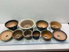 盆栽鉢 小石原焼 使いやすい 丈夫 小品盆栽 盆栽10点A-32