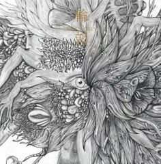 중고 邦楽CD DIR EN GREY 輪郭 DVD付初回限定盤