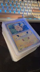 30 記念日 ピカチュウ 種 出品