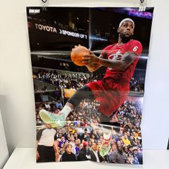 レブロン・ジェームズ ブレイク・グリフィン DUNK SHOOT 2014年3月号 付録ポスター
