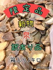 数限定 茨城産 泉 訳ありC級規格外品平干し芋梱包込み1キロ