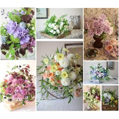新品 期間限定10％OFF ポストカード 花の写真 8枚 8種 ＋おまけ1枚 セット 花屋オリジナル 花 絵はがき バースデーカード ミニカード 季節 ブーケ 花束 絵葉書 アレンジメント おしゃれ 綺麗 葉書 はがき はがきサイズ インテリア 雑貨 メ