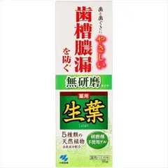 【同じ商品3点セット】【小林製薬】薬用 生葉 無研磨タイプ【歯磨き】
