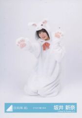 중고 生写真 坂道シリーズ 日向坂46 坂井新奈 座り 日向坂46ランダム生写真 どうぶつ着ぐるみ