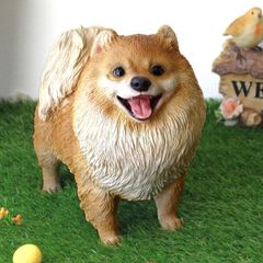 ポメラニアン 置物 犬 リアル 大きい 犬の置物 オーナメント オブジェ ペット 愛犬 玄関 リビング ガーデン 屋外 レジン 樹脂 インテリア 子犬のポメラニアンの置物