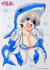 중고 ポスター 原作者・丈描き下ろしイラスト使用B2布ポスター 宇崎花 「Blu-ray/DVD 宇崎ちゃんは遊びたい!」 アニメイト全巻購入特典