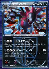 036/051/BW8/B サザンドラ