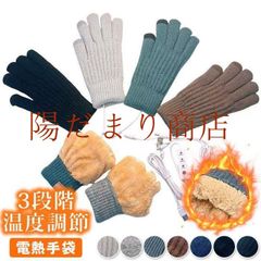 電熱手袋 3段階温度調節 ヒーター付き USB給電式 電熱 グローブ ヒーター 手袋 ニット手袋 スマホ対応 男女兼用 裏ボア ホットグローブ 電熱グローブ 配色 柔らかい グローブ 手袋 バイク 