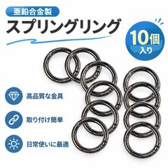 10個入り アクセサリパーツ セグメントリング カラビナ 丸型 サークルカラビナ リングカラビナ バッグパーツ 押し開き式 外径約2.8cm 丸型リング