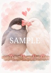 2407 文鳥 水彩画 アートプリント 2L判 桜文鳥 白文鳥 仲良し 小鳥 インテリア