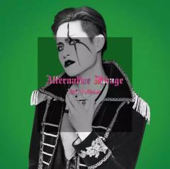 중고 邦楽CD Anli Pollicino Alternative Mirage Type-AB