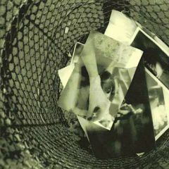 【中古】邦楽CD Plastic Tree / ネガとポジ[DVD付初回限定盤]