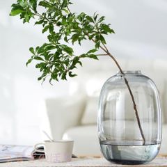 花瓶 ガラス 丸型 INS風 花瓶 大きい シンプル 一輪挿し 透明 インテリ X032