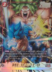 孫悟空：BR ベジータ：BR パラレル SR☆ DUAL EVOLUTION FB09-011 ドラゴンボールFW