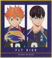 중고 紙製品 日向翔陽＆影山飛雄 ミニ色紙 「ハイキュー!! トレーディング Ani-Art 第4弾 ミニ色紙」 法人購入特典