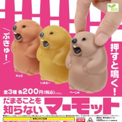 予約 だまることを知らないマーモット コンプリート 全3種類 가챠 26Y-0098