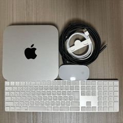 Mac mini 2023 M2 Pro 메모리 32GB NVMe SSD1TB