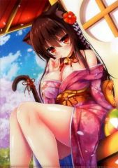 중고 クリアファイル 単品 Syrohイラスト クリアファイル 「ブックレット E☆2 COLLECTION ～大和撫子～ クリアファイル付き数量限定セット」 C95グッズ